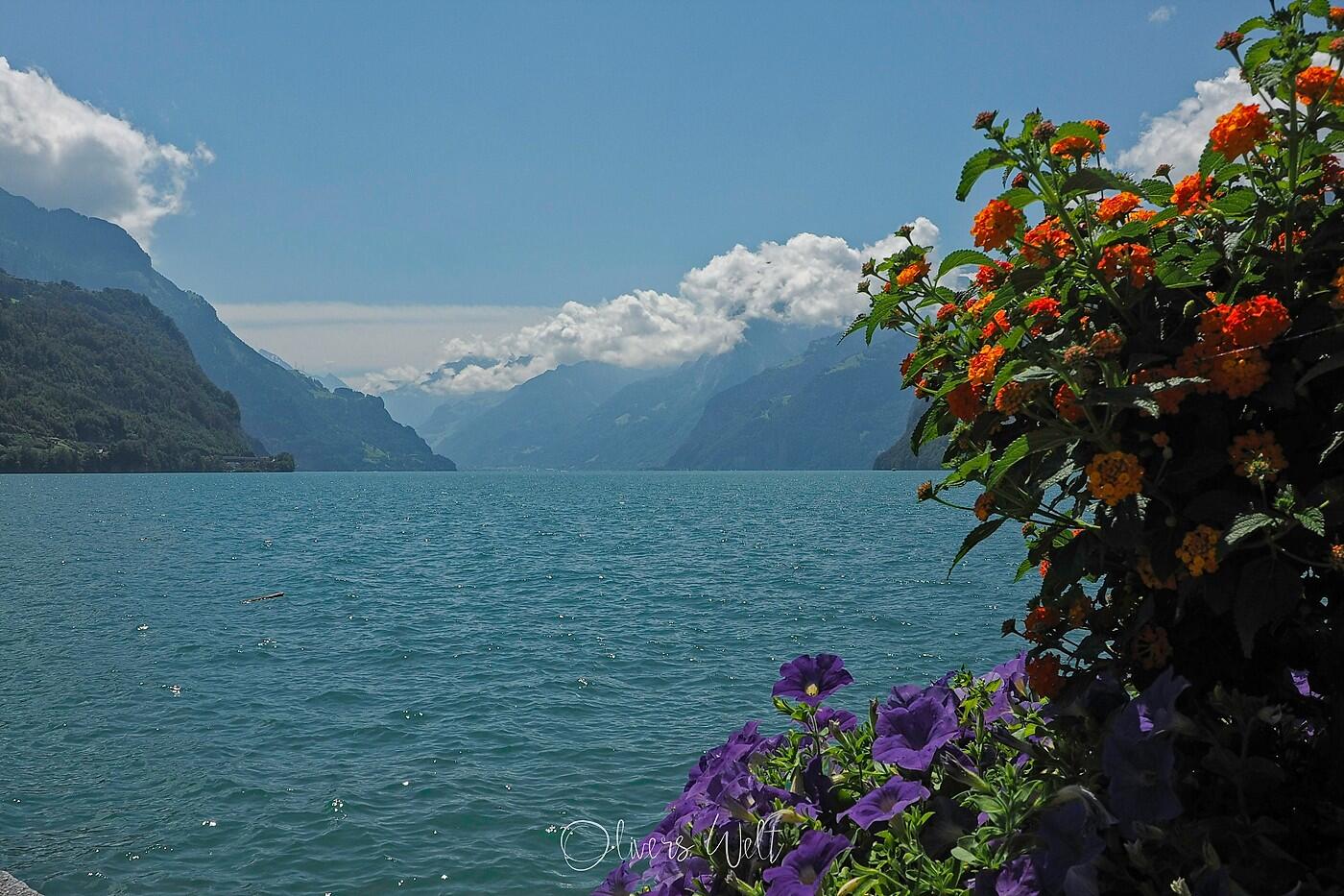 Bild ohne Beschreibung