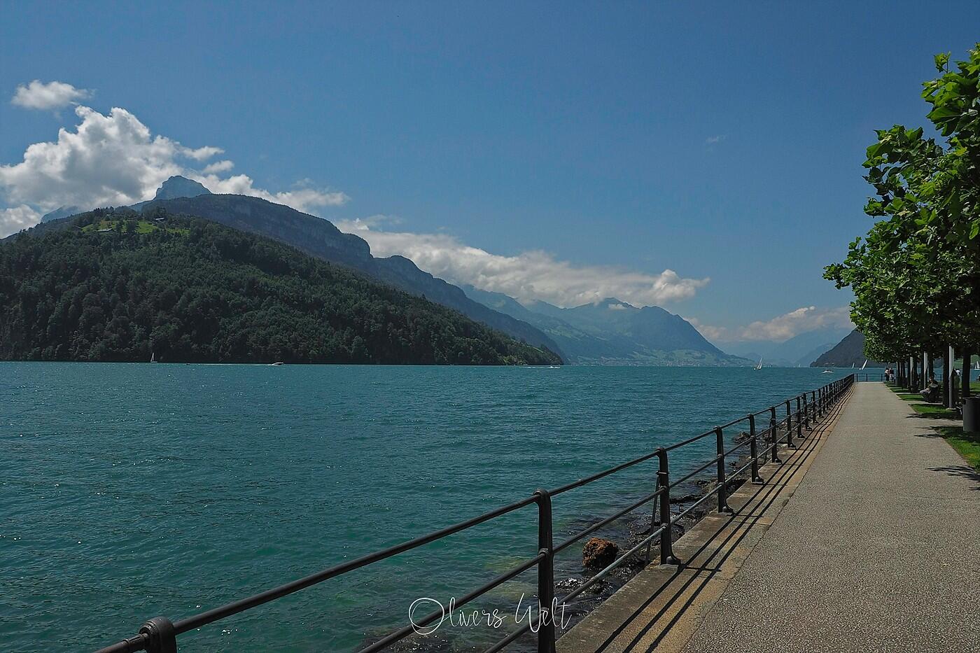 Bild ohne Beschreibung