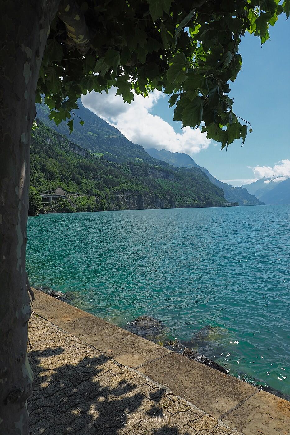 Bild ohne Beschreibung