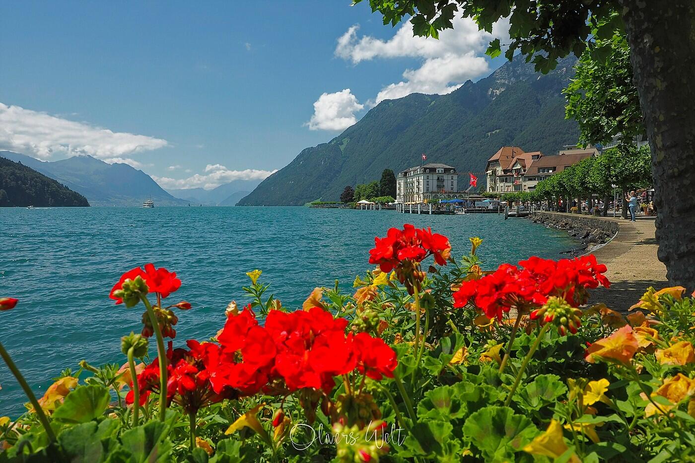 Bild ohne Beschreibung