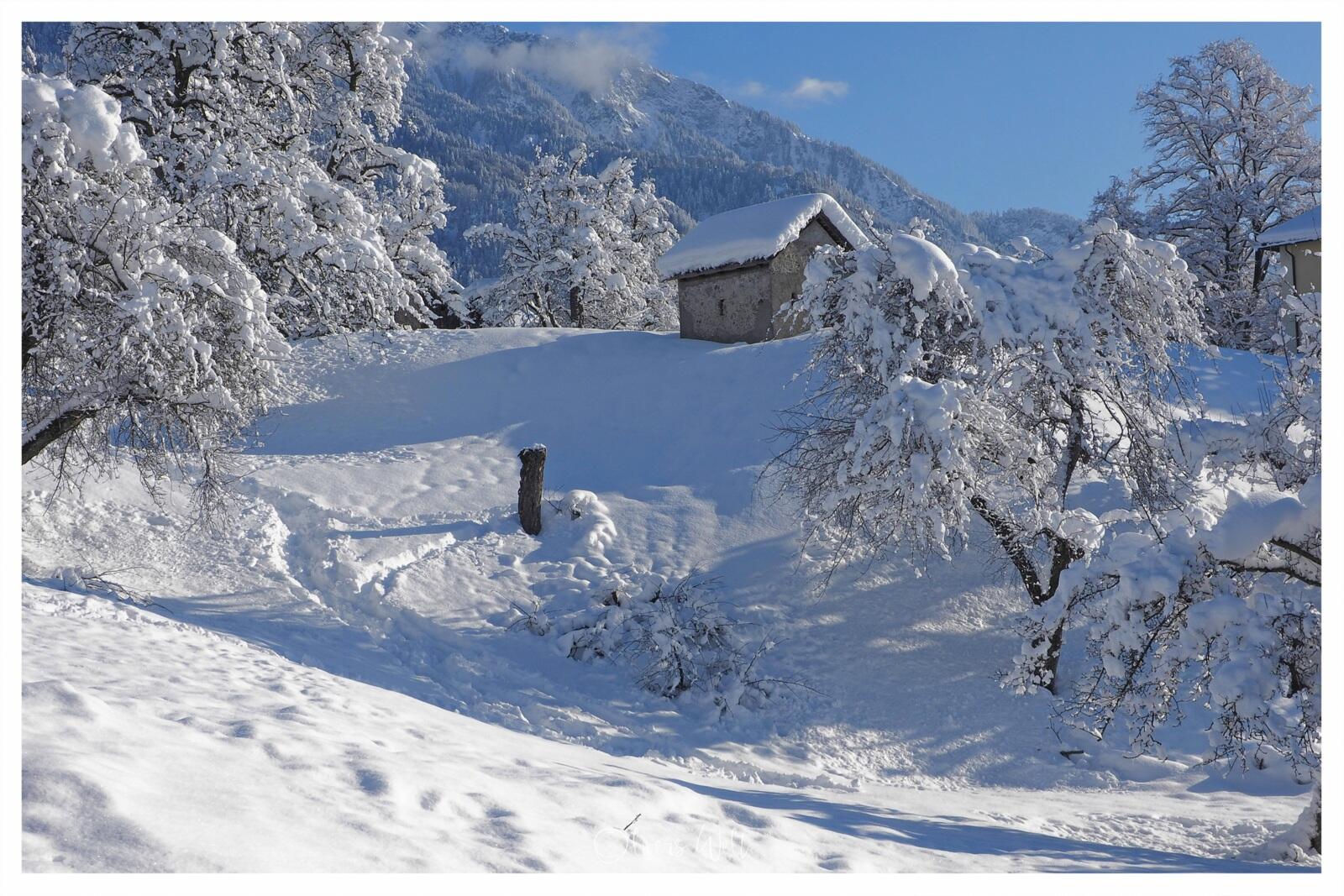 Bild ohne Beschreibung Bild ohne Beschreibung