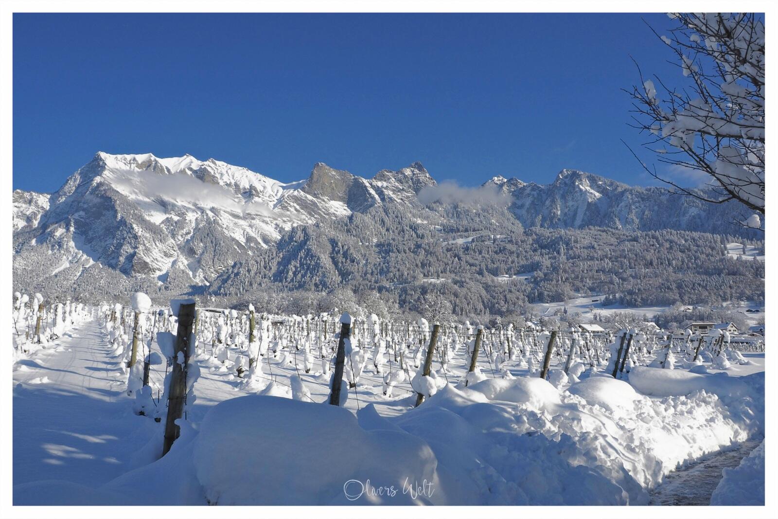 Bild ohne Beschreibung Bild ohne Beschreibung