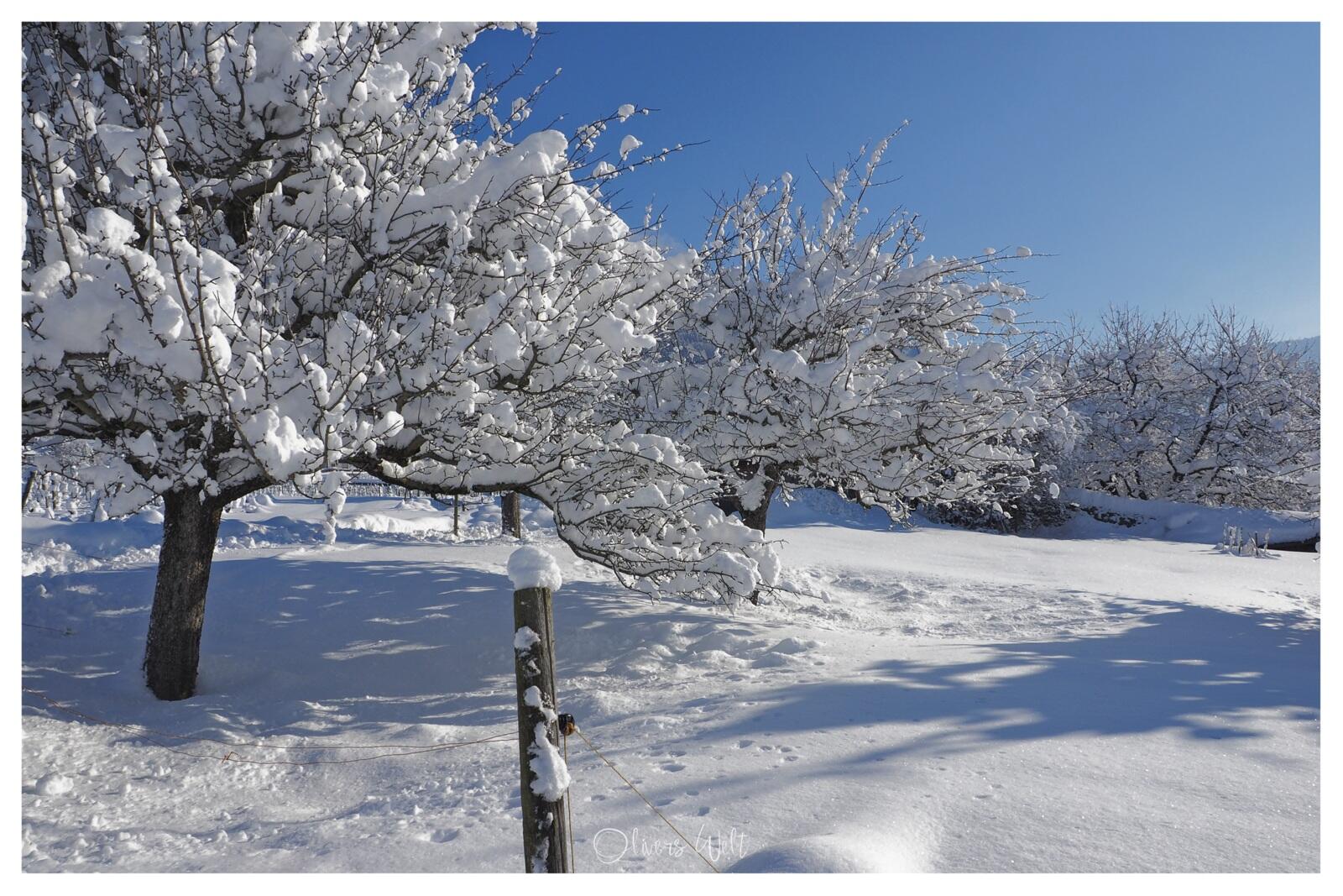 Bild ohne Beschreibung Bild ohne Beschreibung