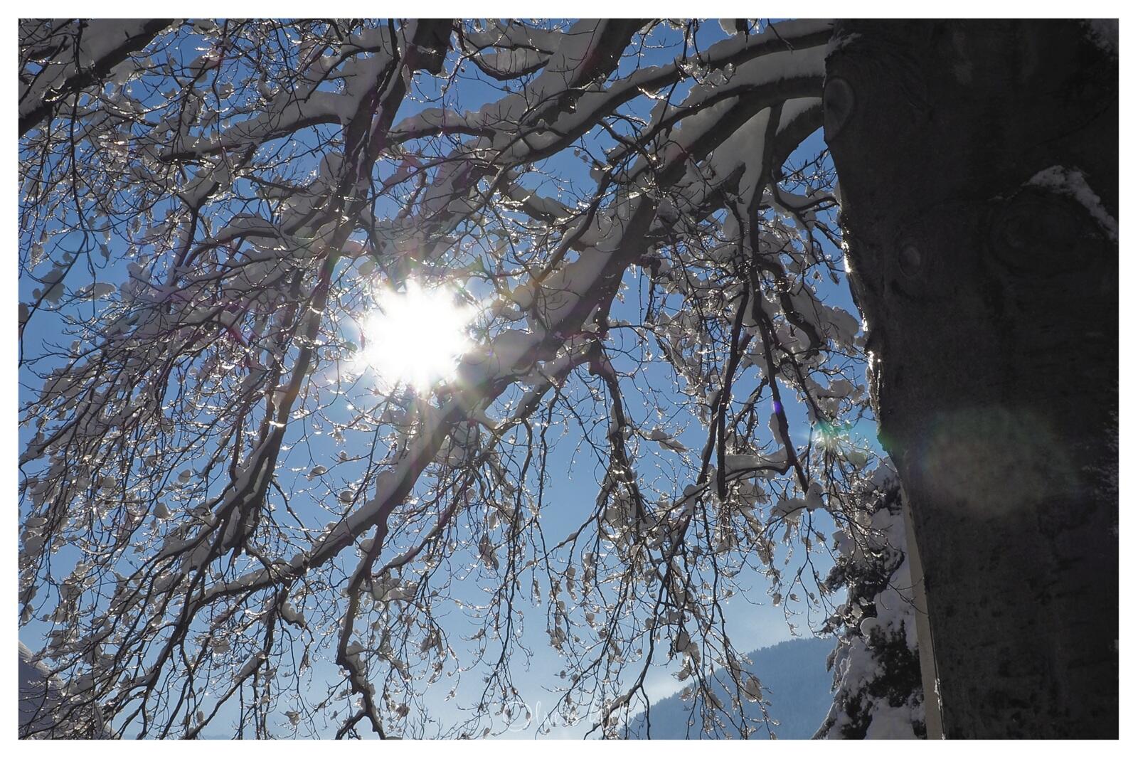 Bild ohne Beschreibung Bild ohne Beschreibung