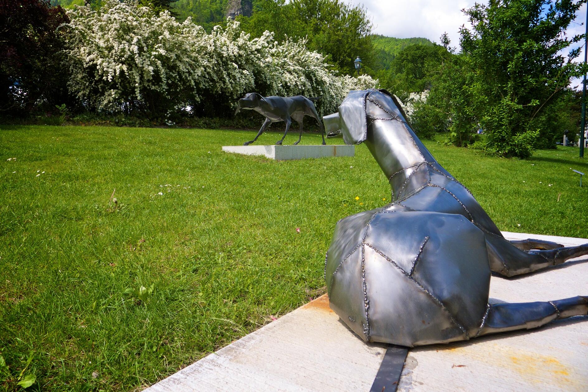 Bild ohne Beschreibung