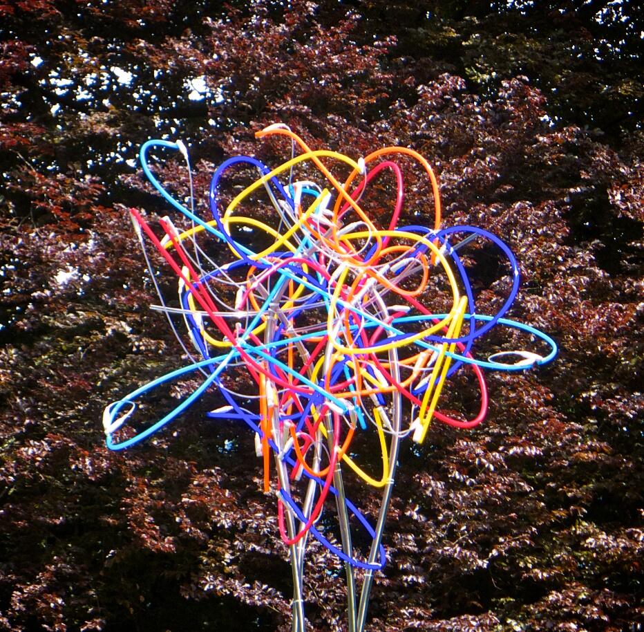 Bild ohne Beschreibung