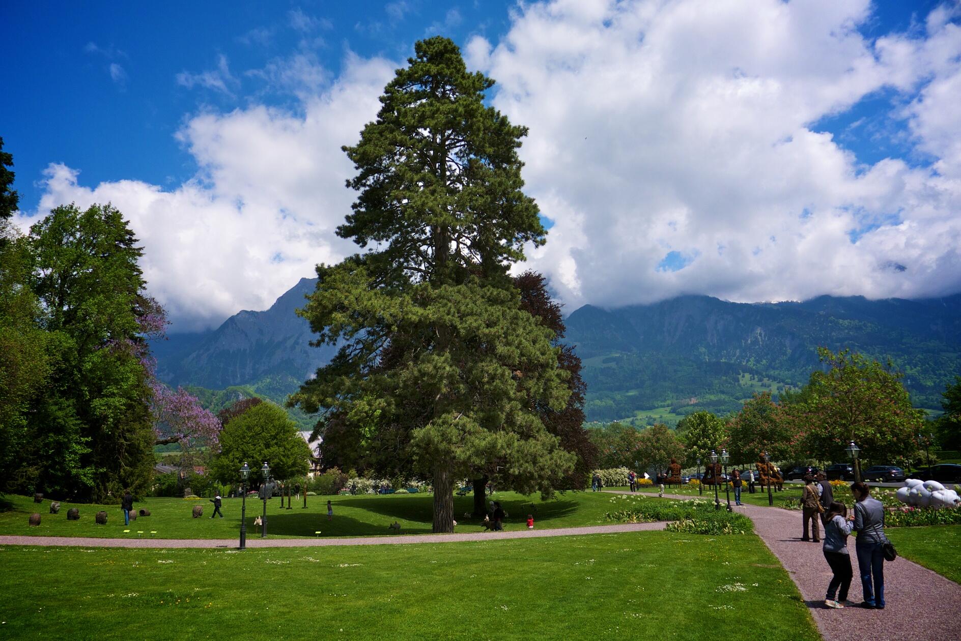 Bild ohne Beschreibung