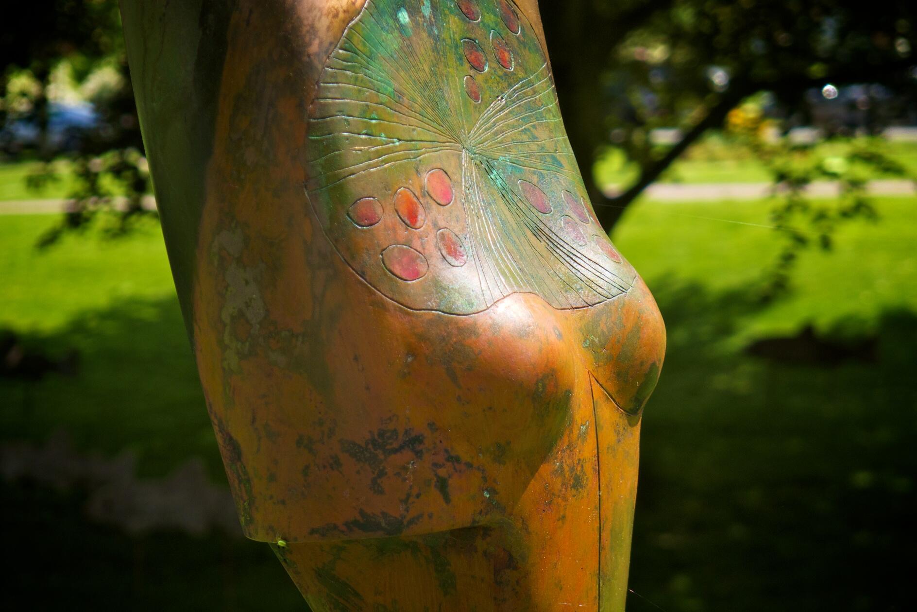 Bild ohne Beschreibung