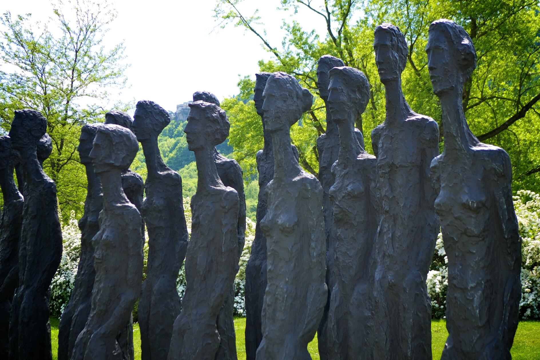 Bild ohne Beschreibung