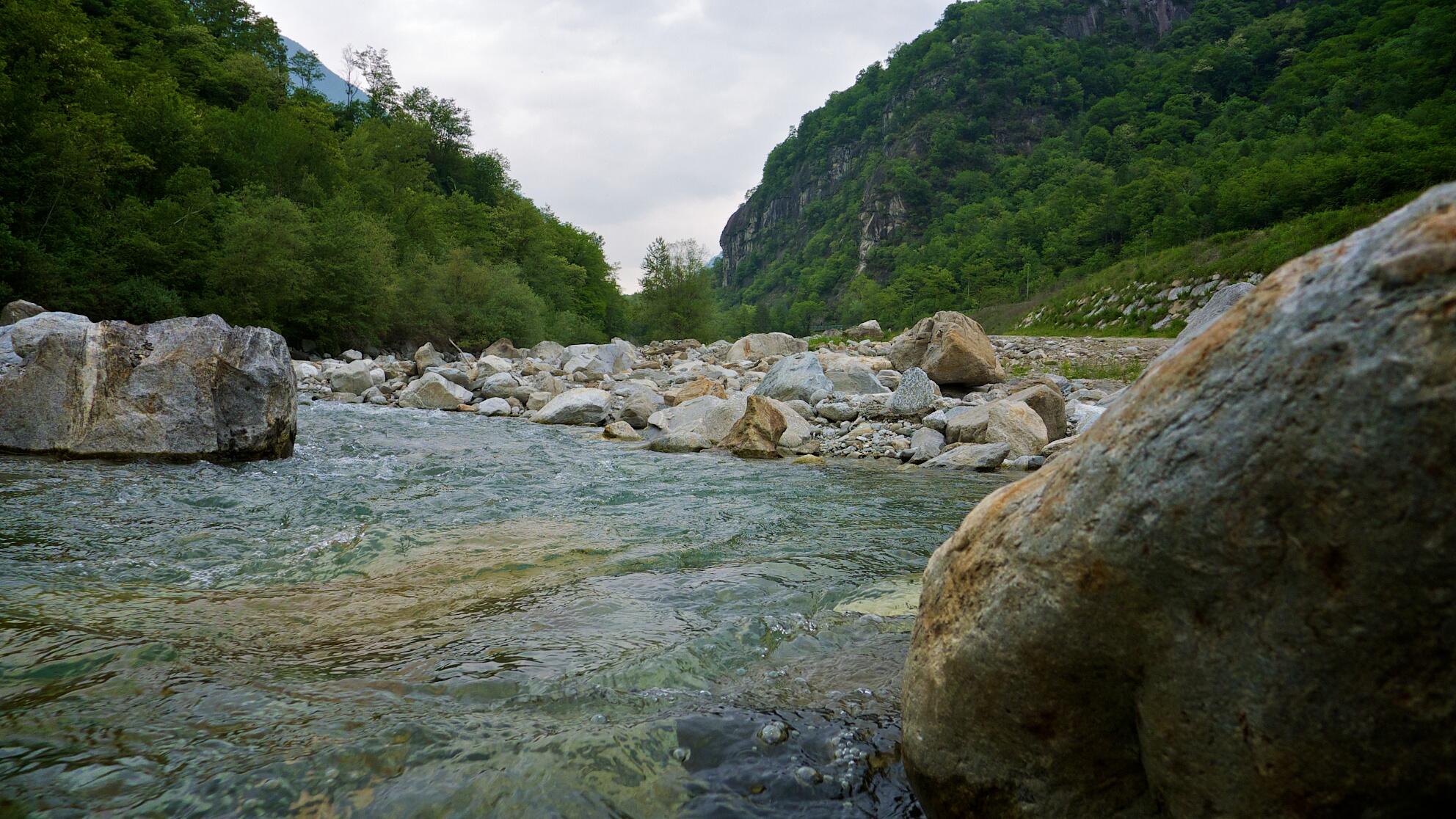 Bild ohne Beschreibung