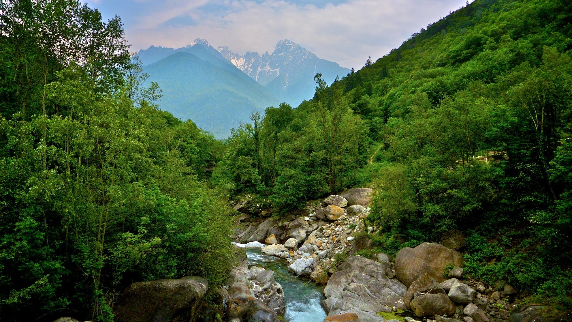 Bild ohne Beschreibung