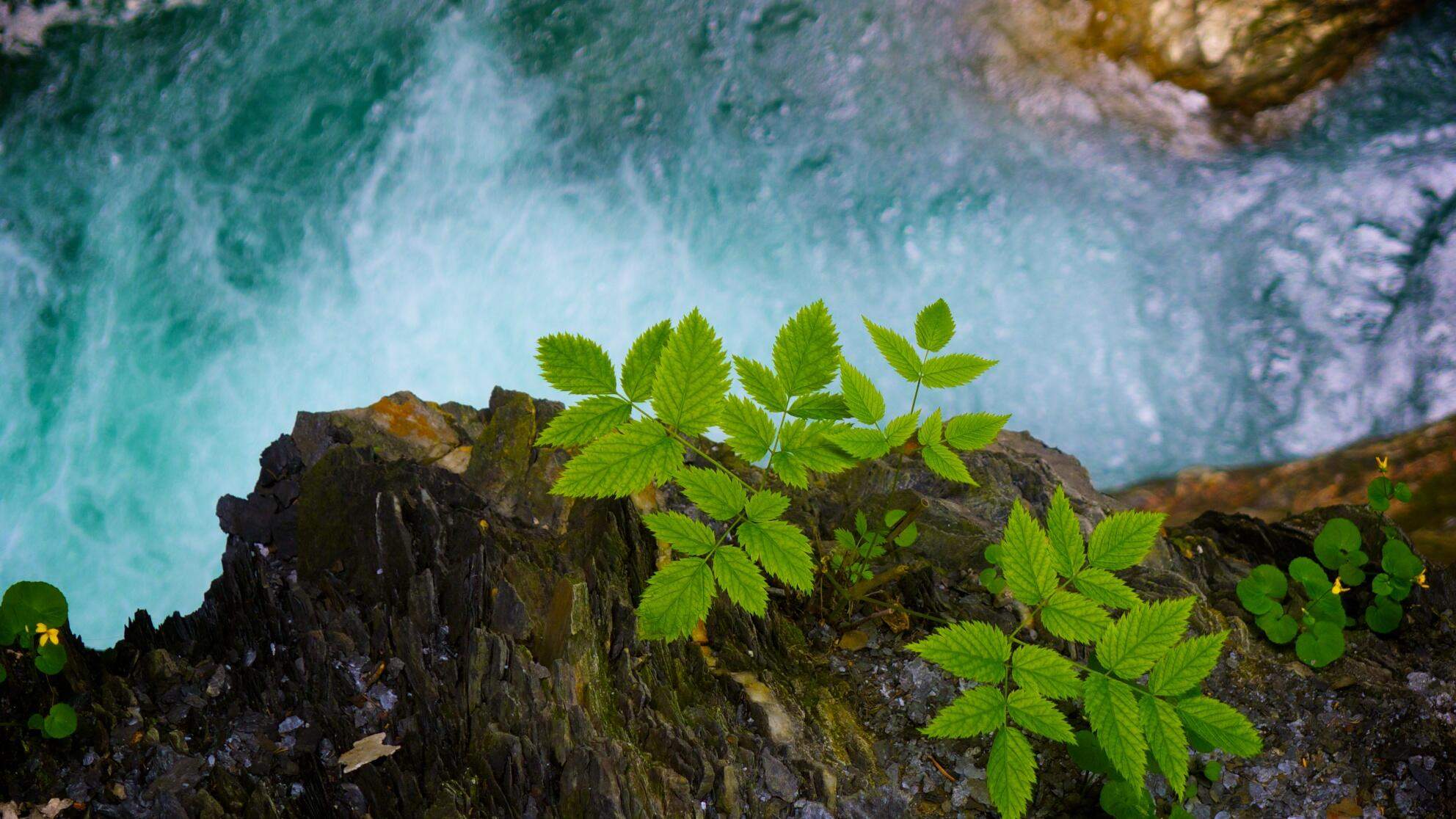 Bild ohne Beschreibung