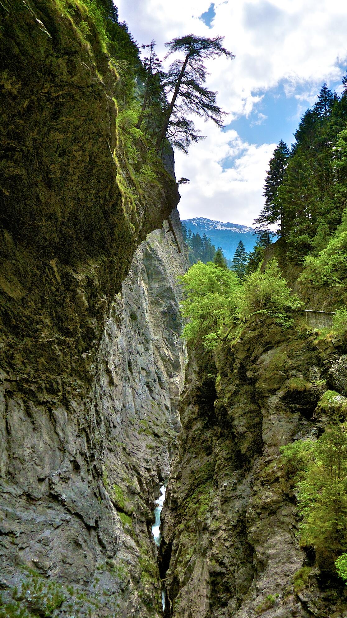 Bild ohne Beschreibung