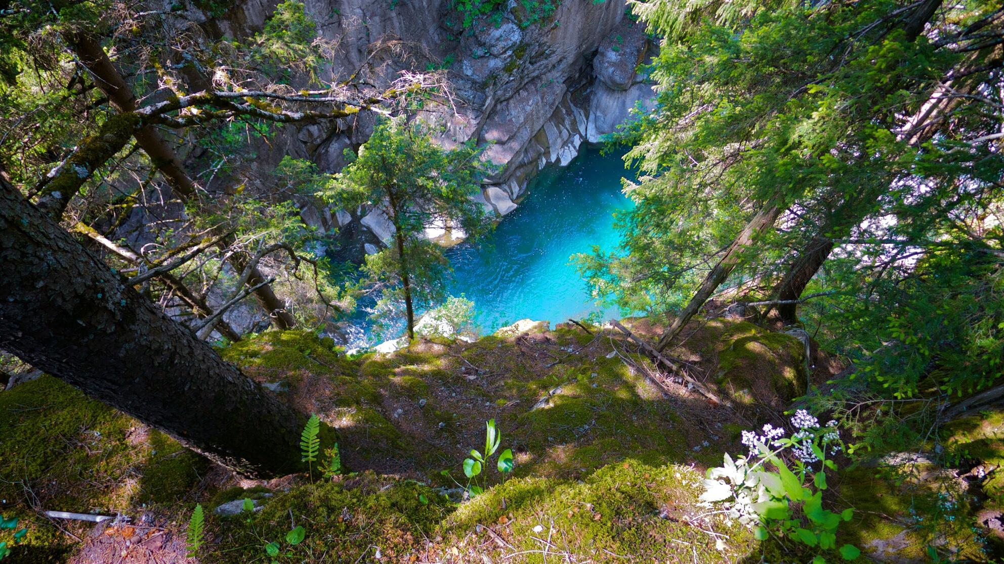 Bild ohne Beschreibung