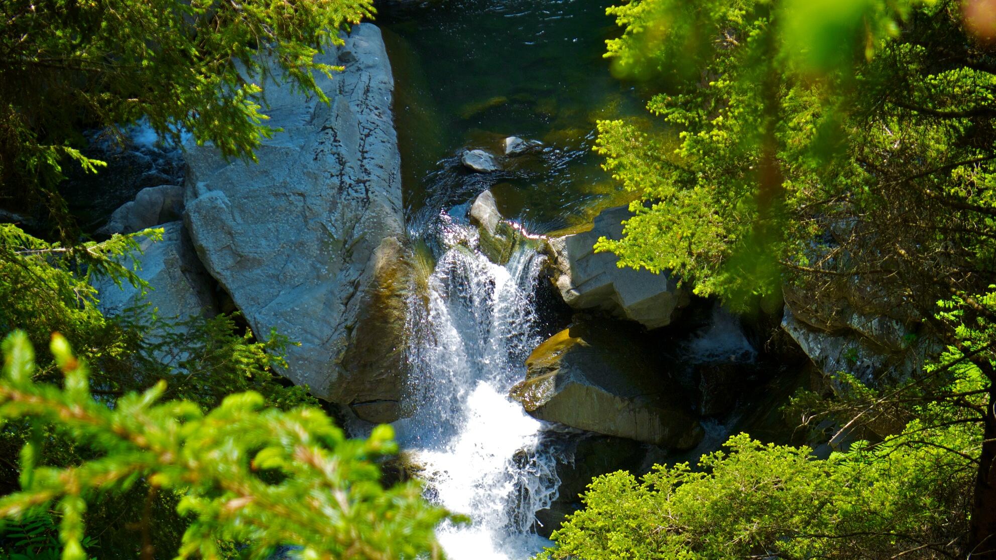 Bild ohne Beschreibung