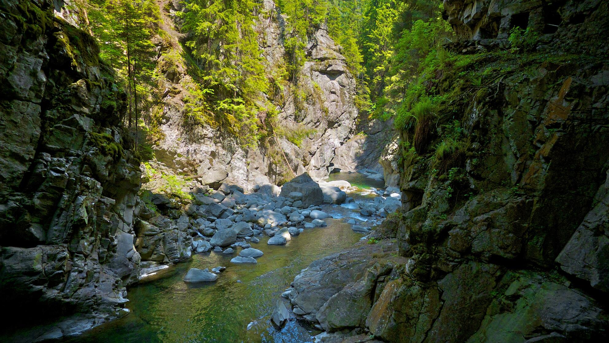 Bild ohne Beschreibung