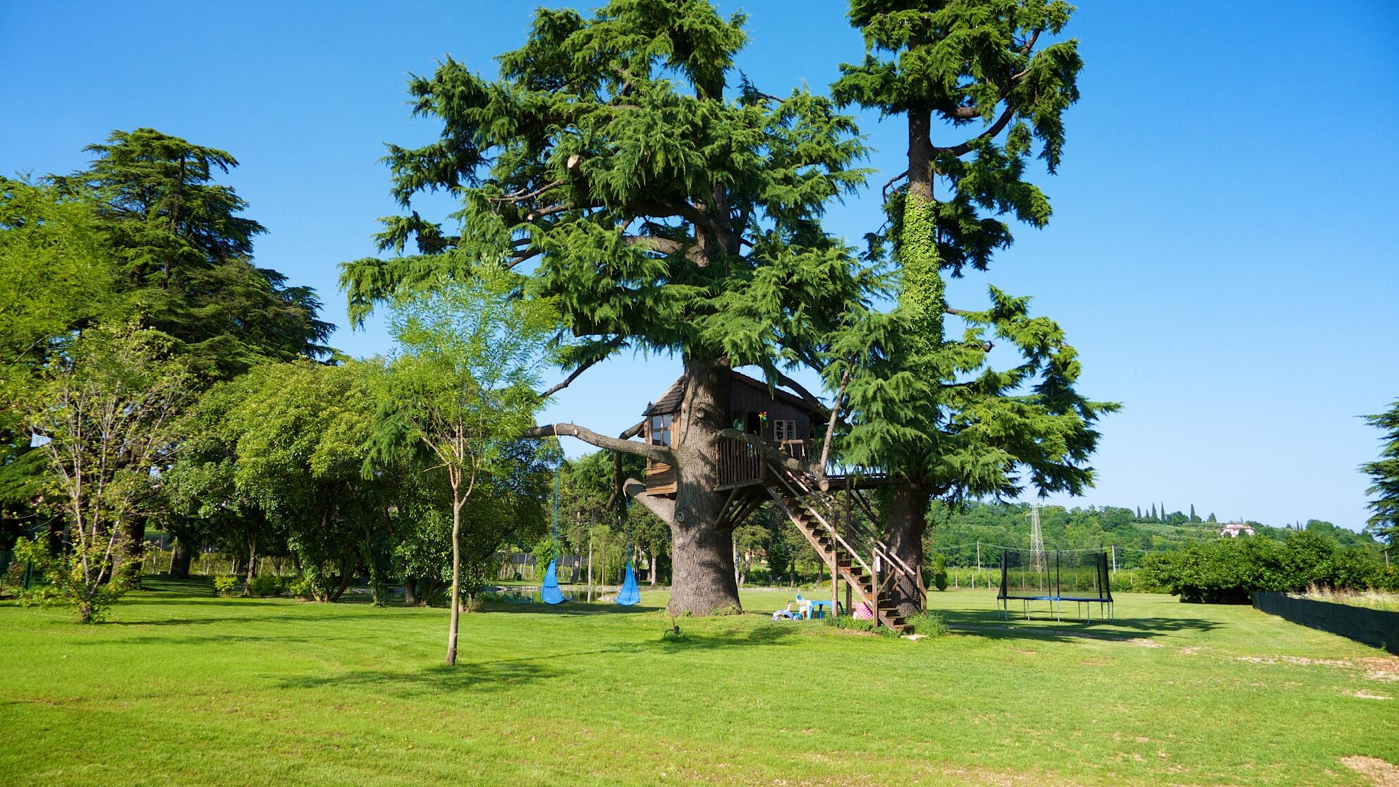 Bild ohne Beschreibung Bild ohne Beschreibung