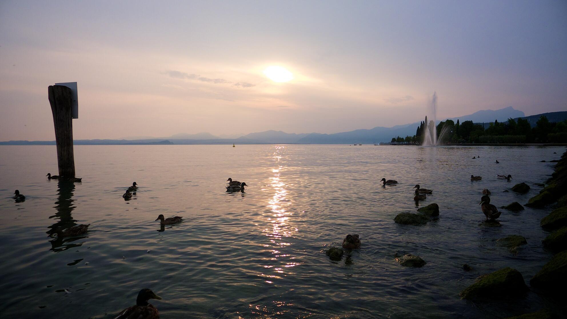 Bild ohne Beschreibung Bild ohne Beschreibung