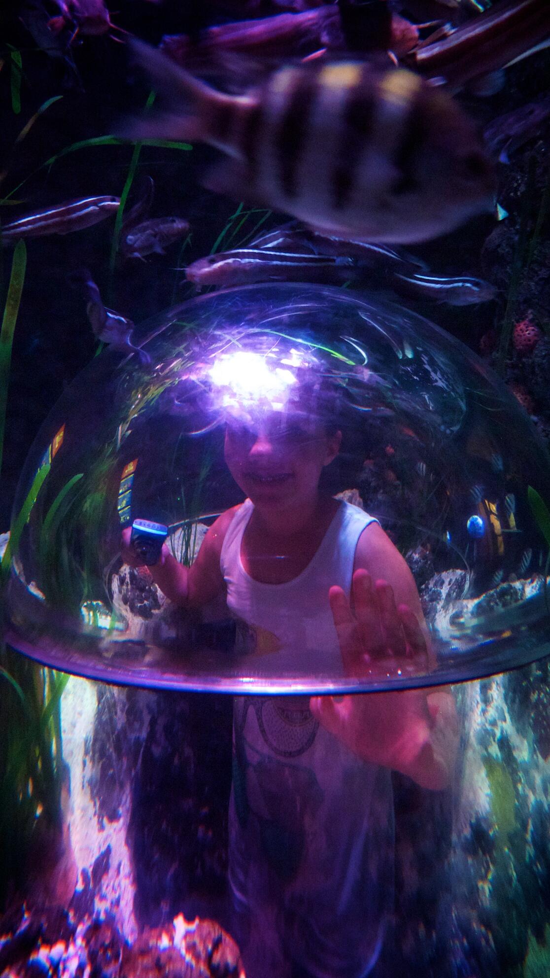 Bild ohne Beschreibung Bild ohne Beschreibung