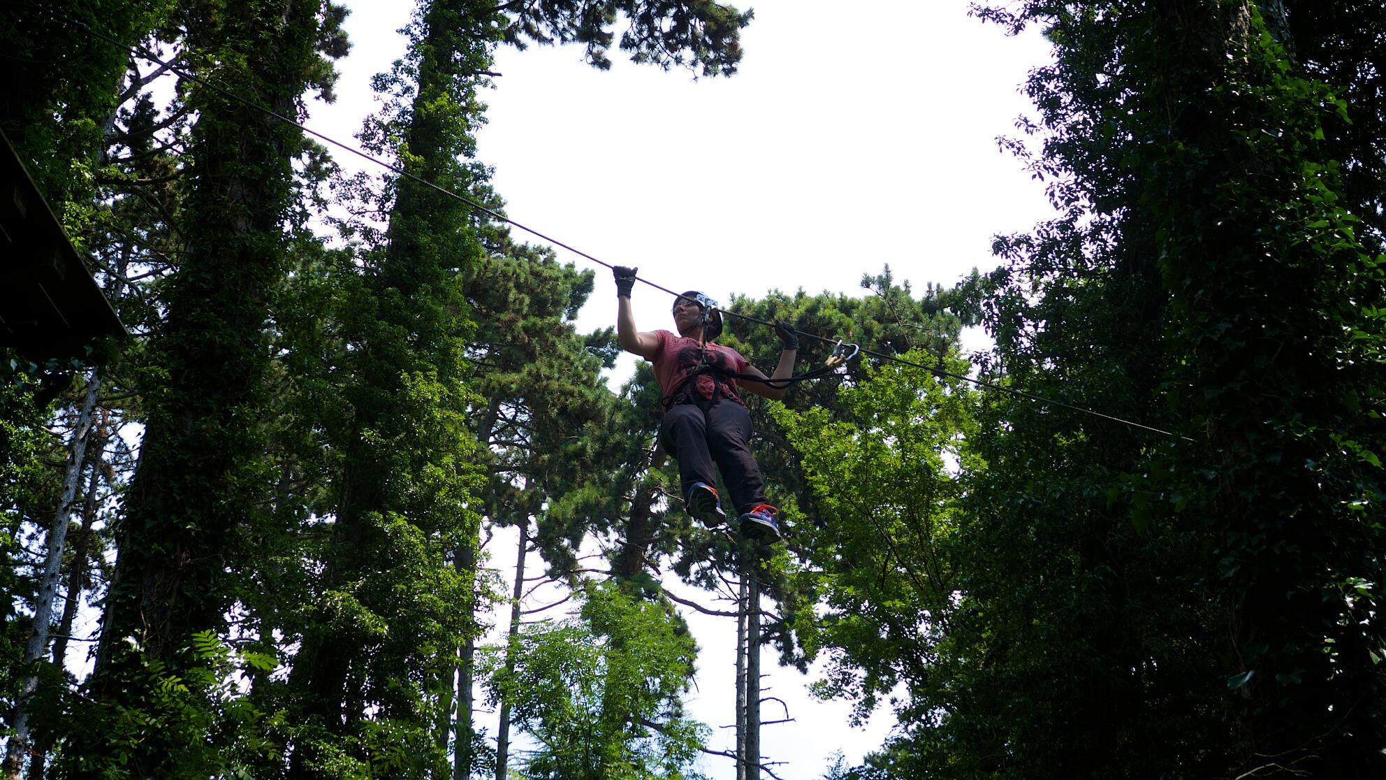 Bild ohne Beschreibung Bild ohne Beschreibung