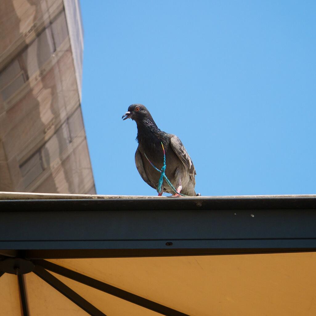 Bild ohne Beschreibung Bild ohne Beschreibung