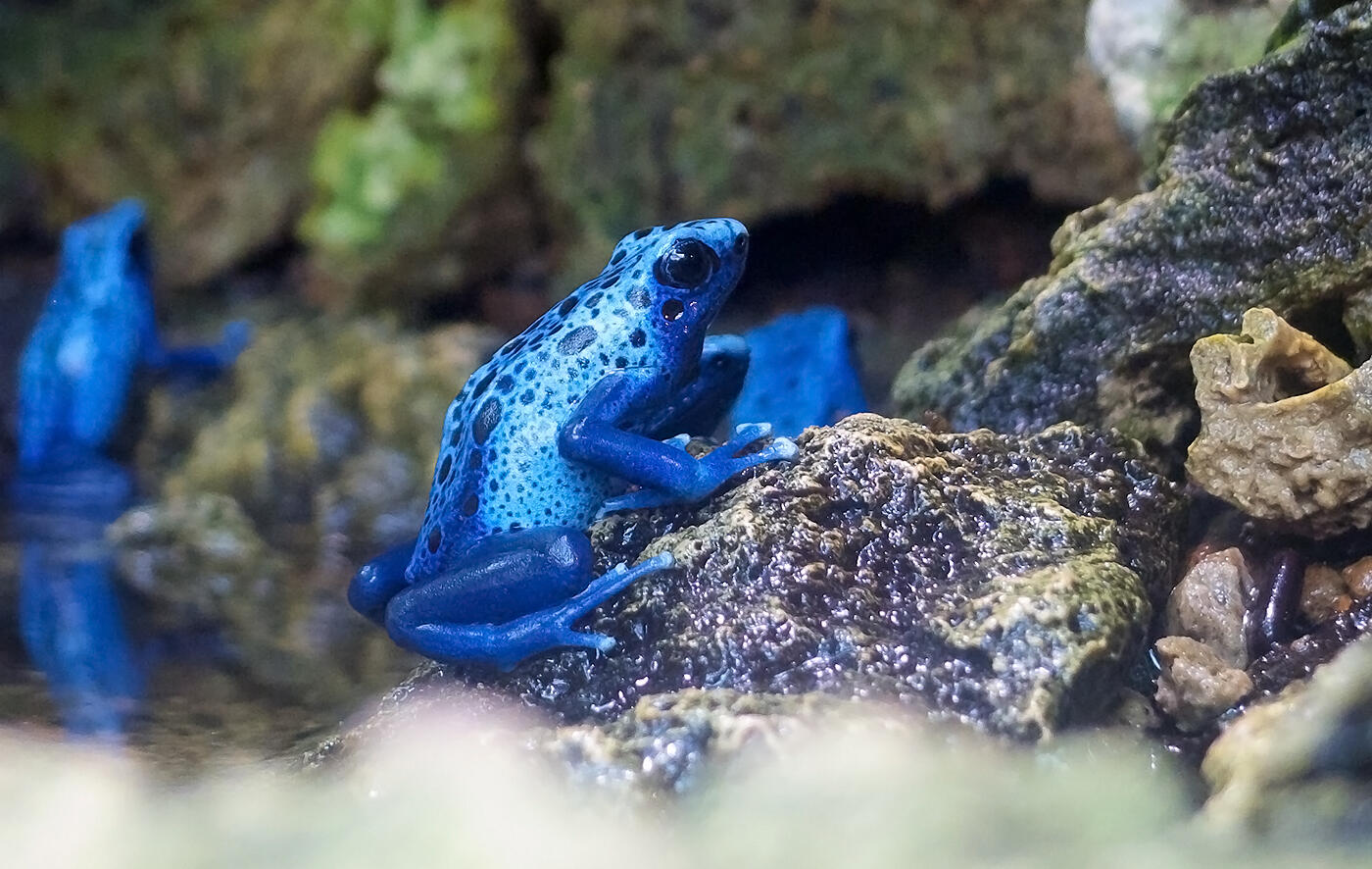 Bild ohne Beschreibung