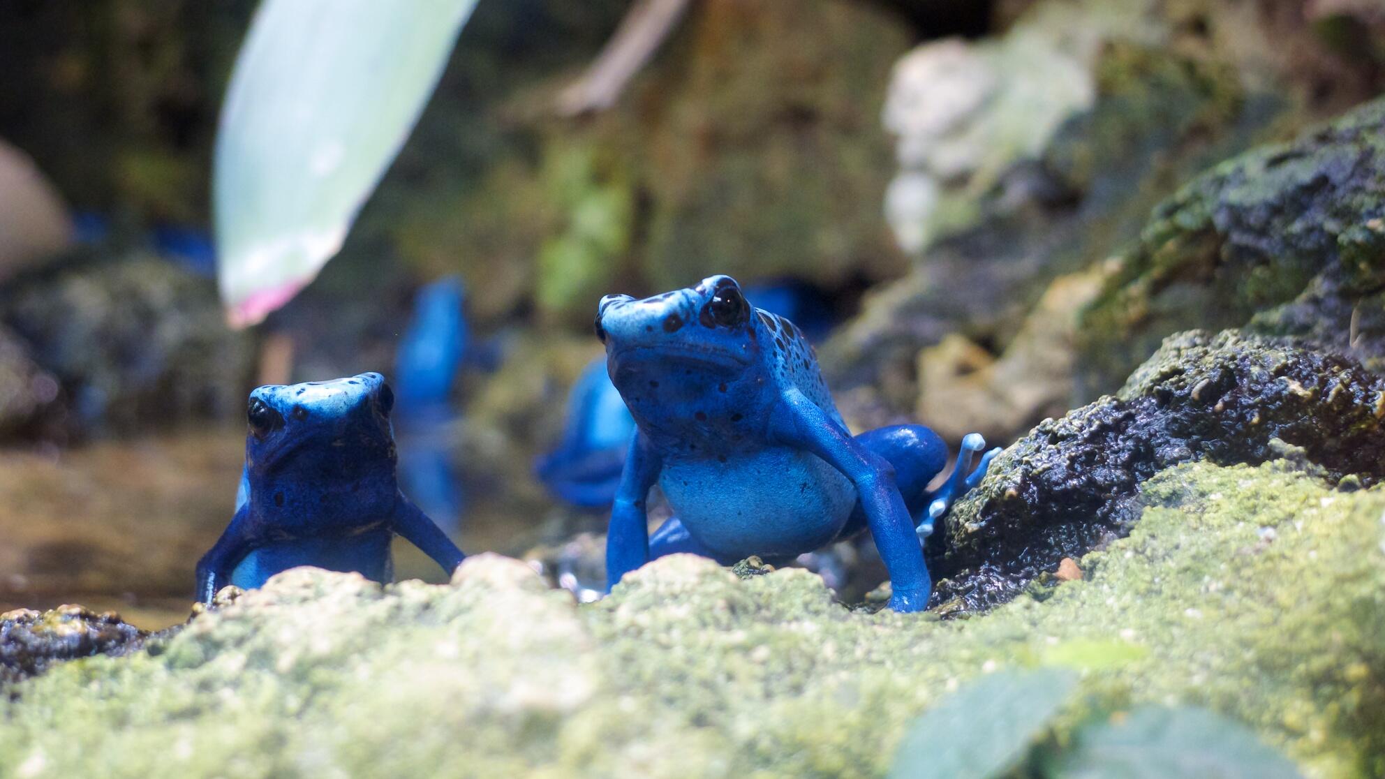 Bild ohne Beschreibung