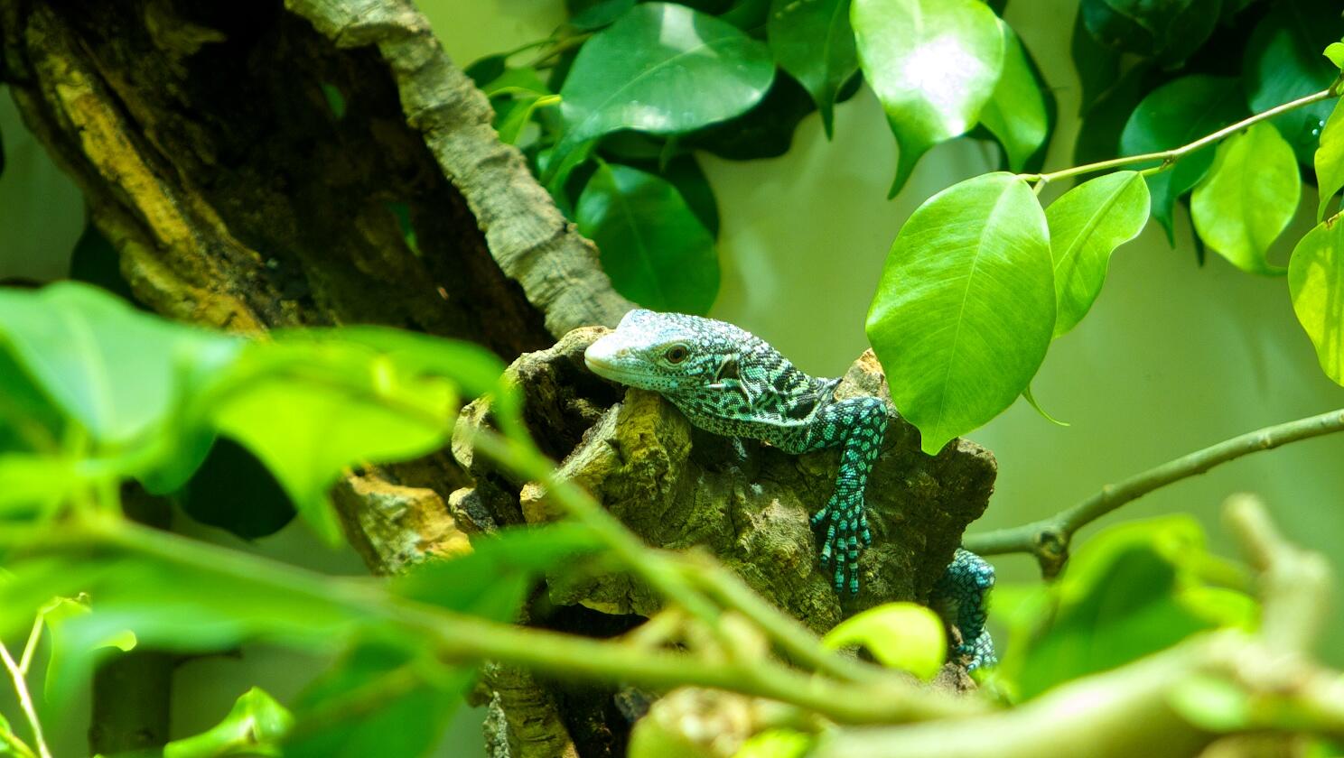 Bild ohne Beschreibung