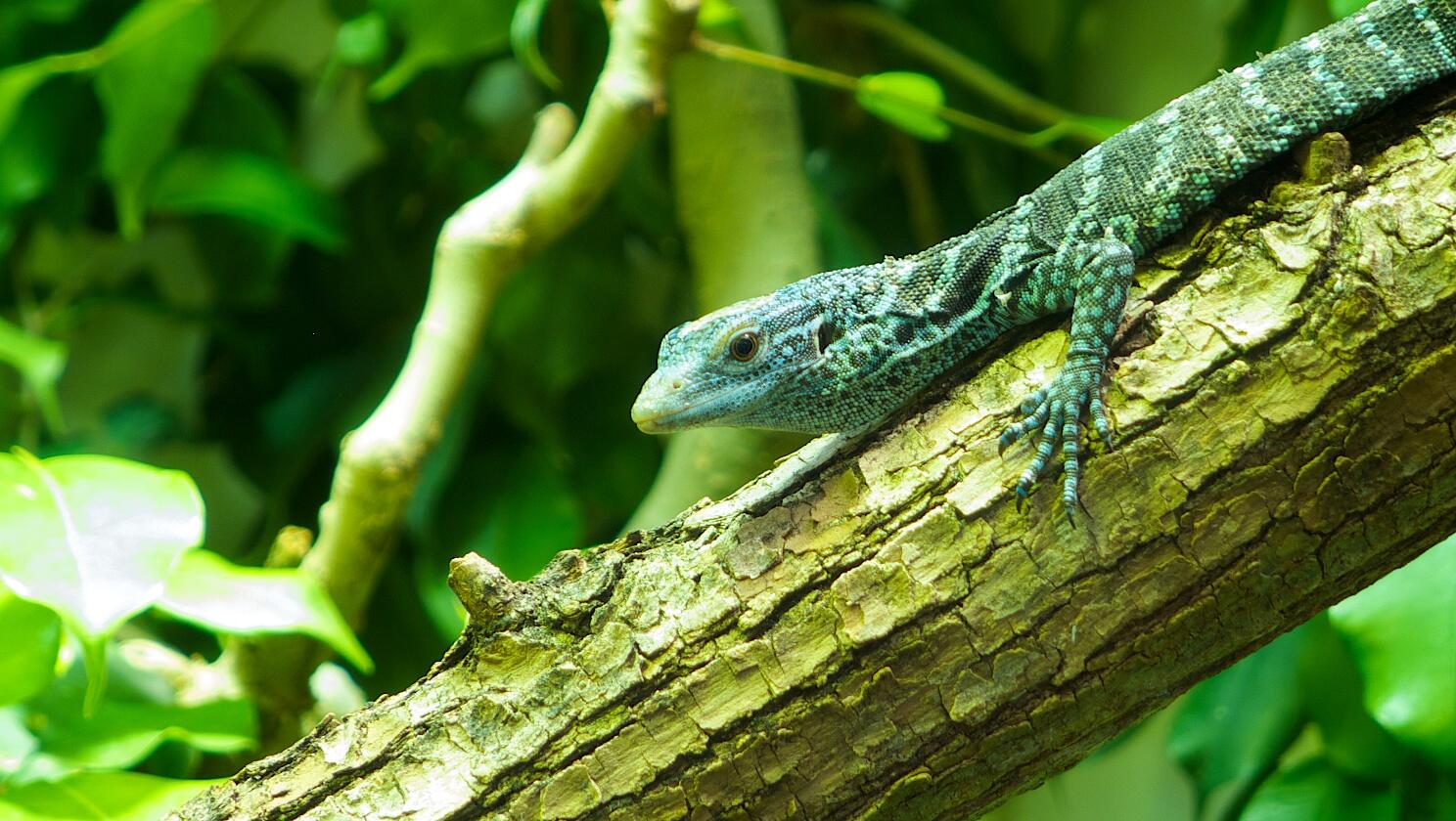 Bild ohne Beschreibung