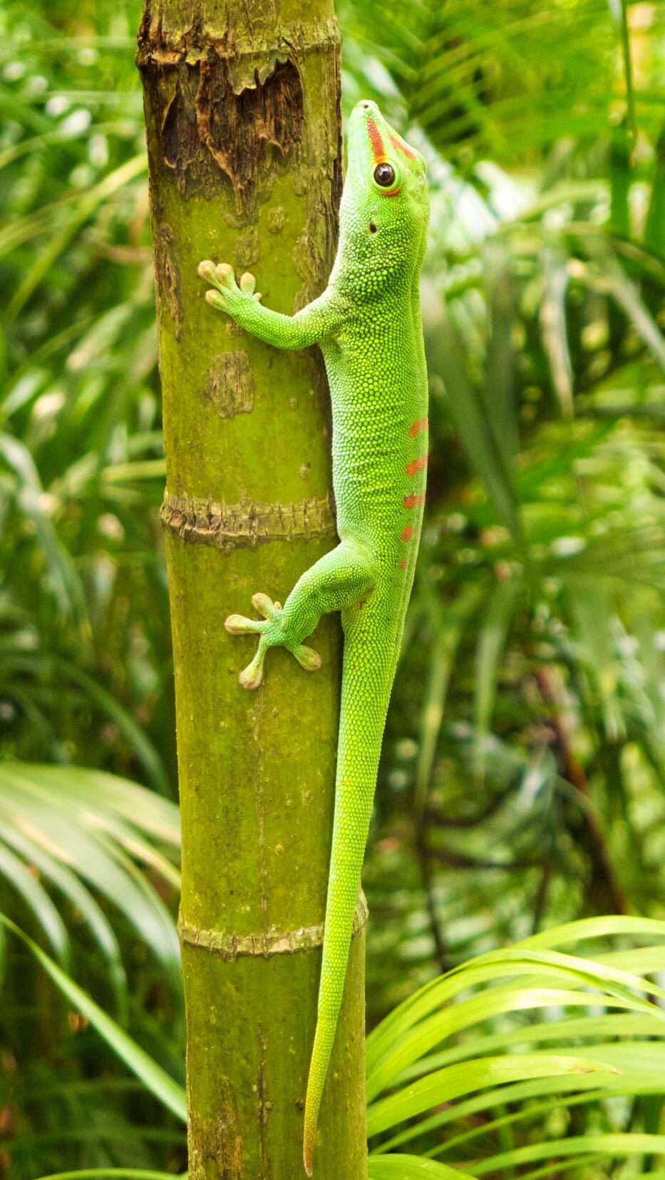 Bild ohne Beschreibung