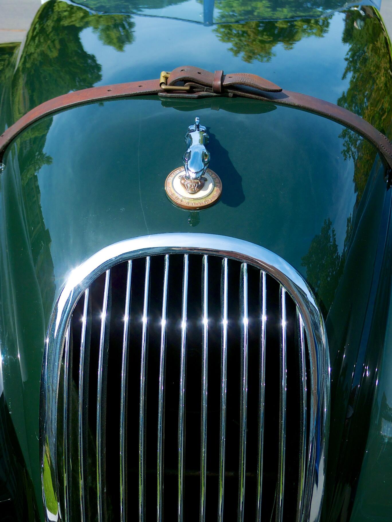 Bild ohne Beschreibung