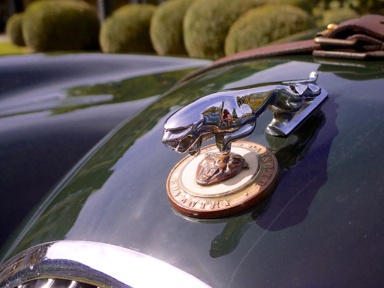 Bild ohne Beschreibung