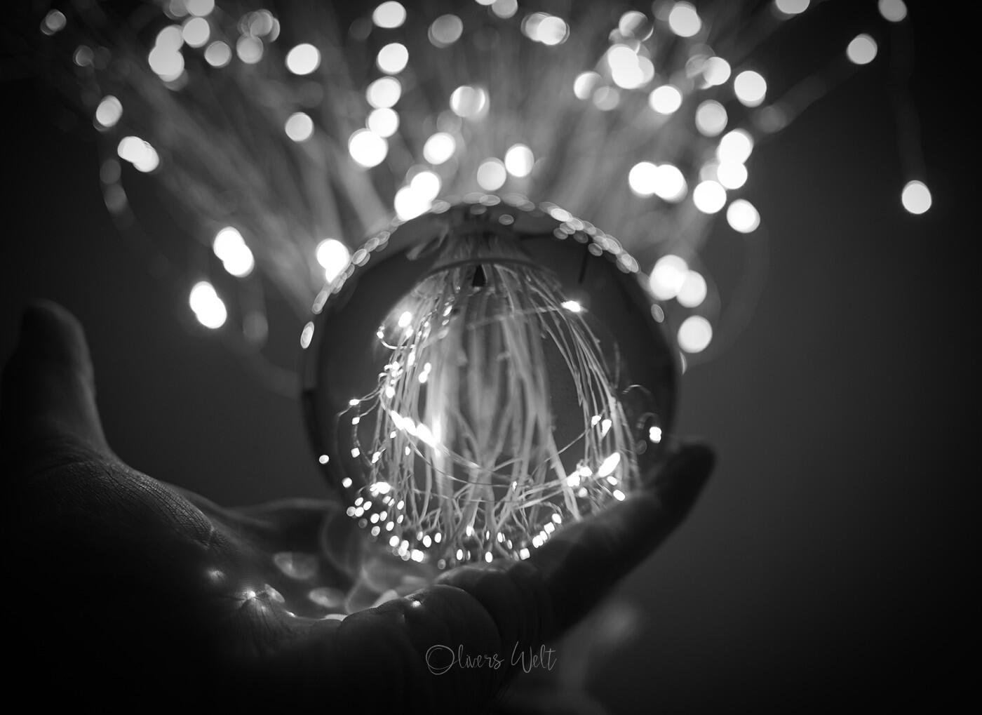 Bild ohne Beschreibung