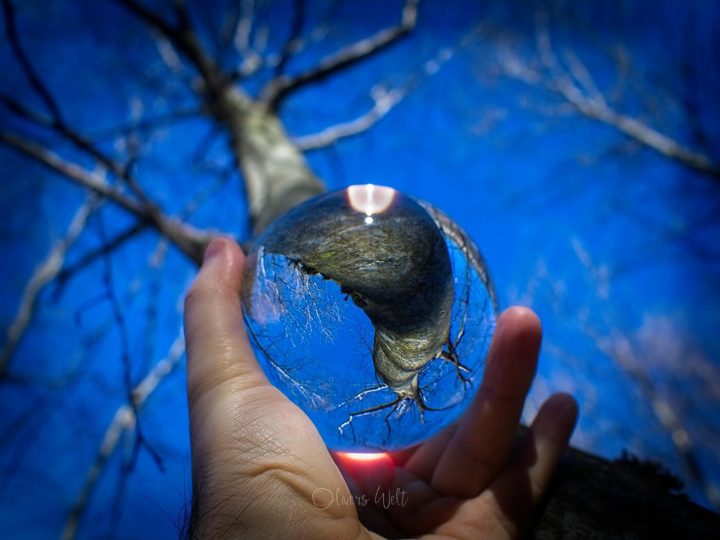 Bild ohne Beschreibung