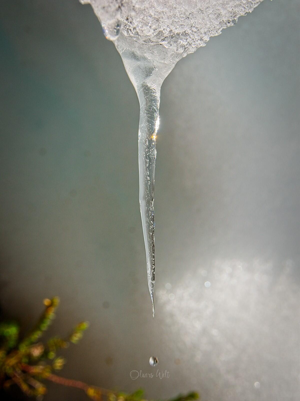 Bild ohne Beschreibung Bild ohne Beschreibung