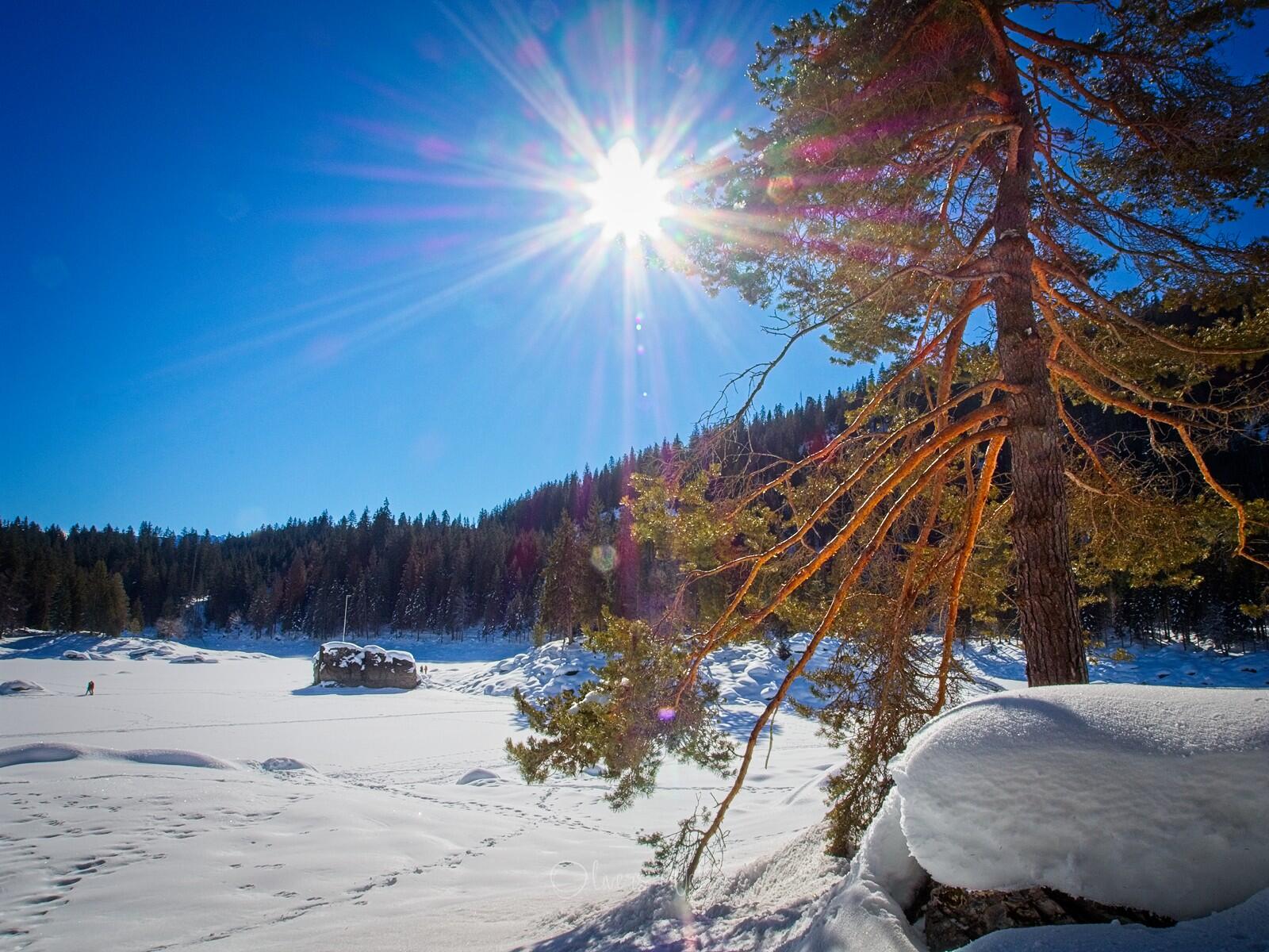 Bild ohne Beschreibung Bild ohne Beschreibung