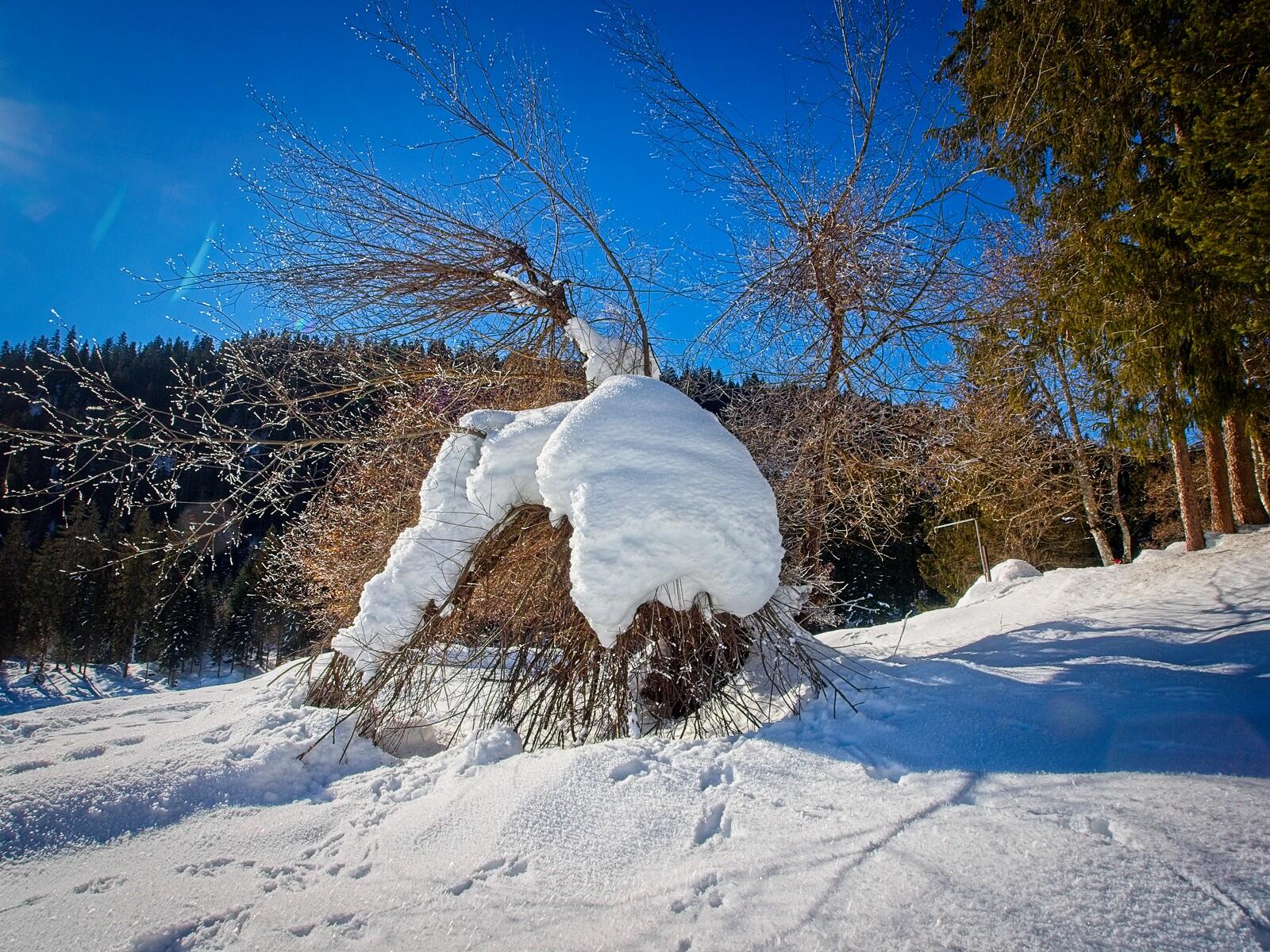 Bild ohne Beschreibung Bild ohne Beschreibung