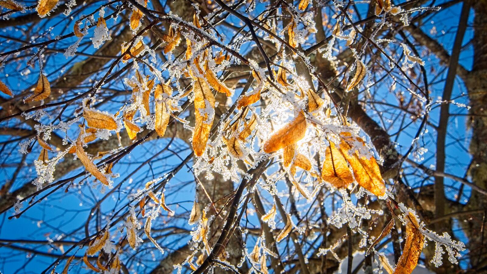 Bild ohne Beschreibung Bild ohne Beschreibung