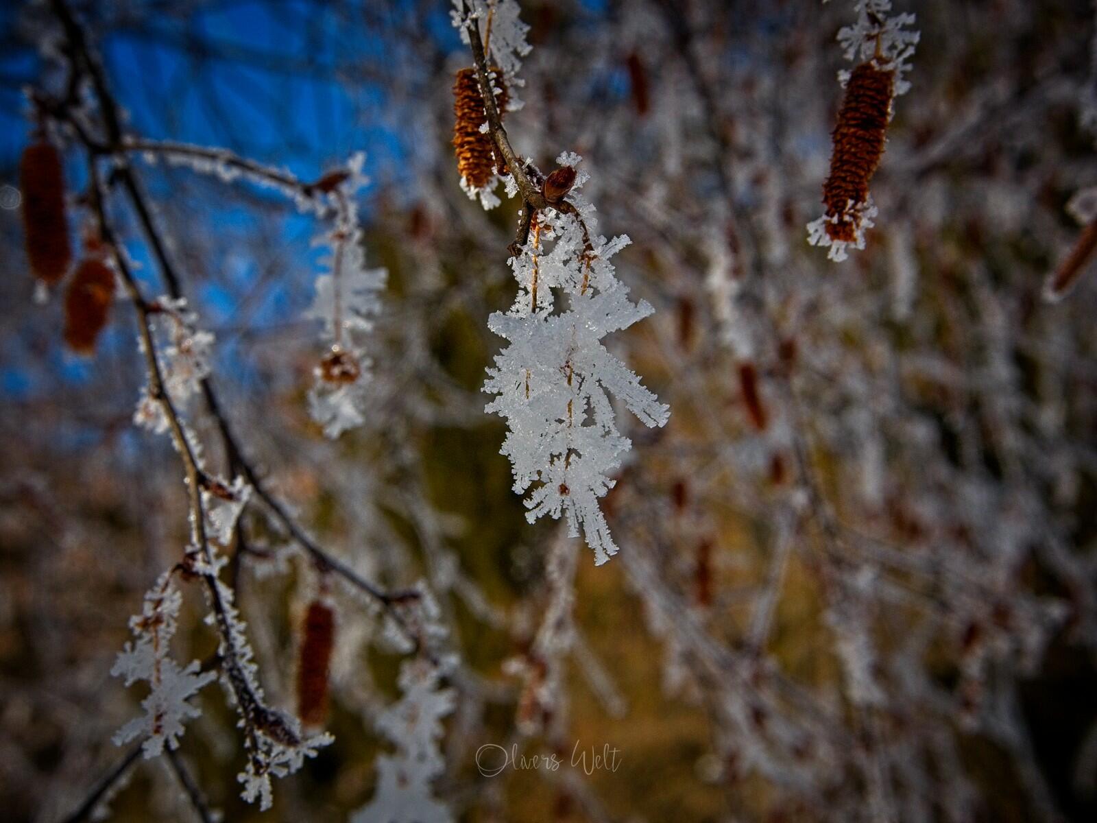 Bild ohne Beschreibung Bild ohne Beschreibung