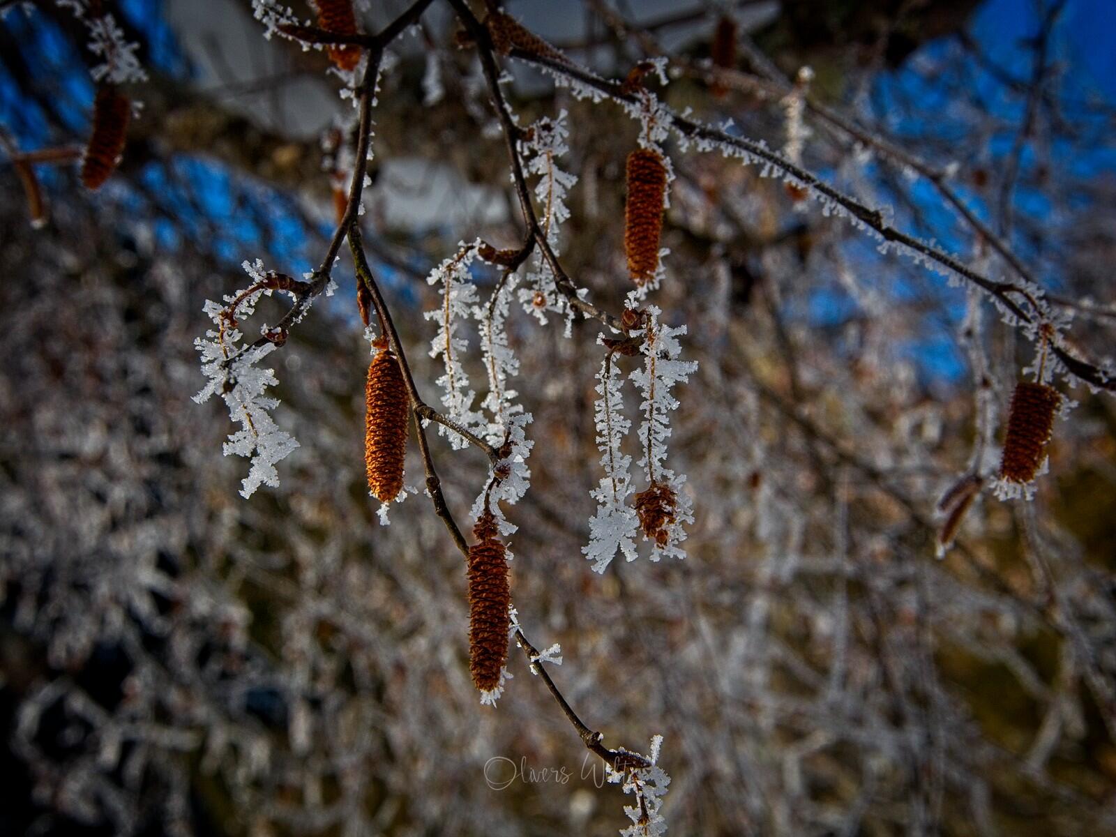 Bild ohne Beschreibung Bild ohne Beschreibung