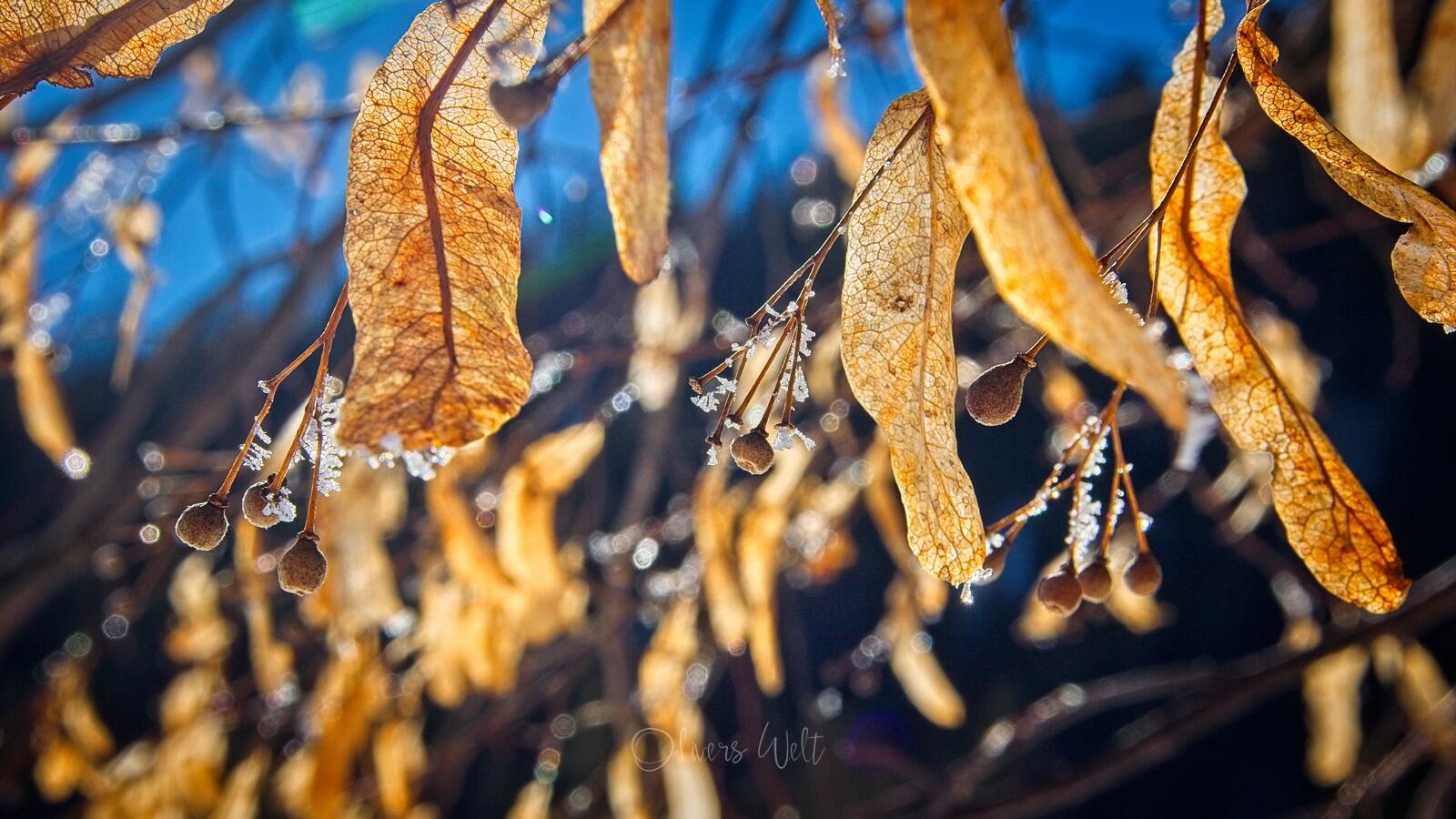 Bild ohne Beschreibung Bild ohne Beschreibung