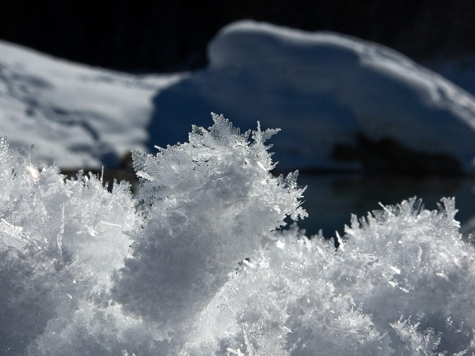 Bild ohne Beschreibung Bild ohne Beschreibung
