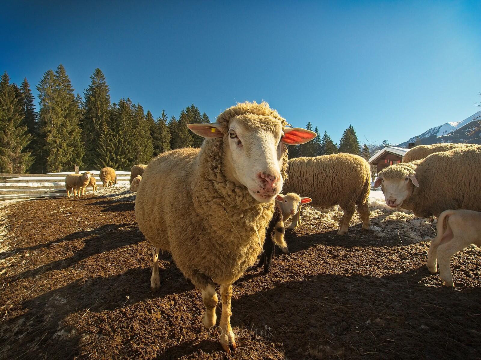 Bild ohne Beschreibung Bild ohne Beschreibung