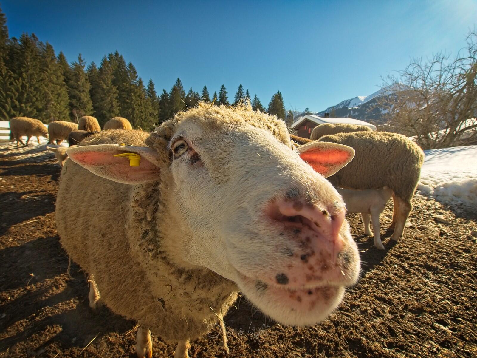 Bild ohne Beschreibung Bild ohne Beschreibung