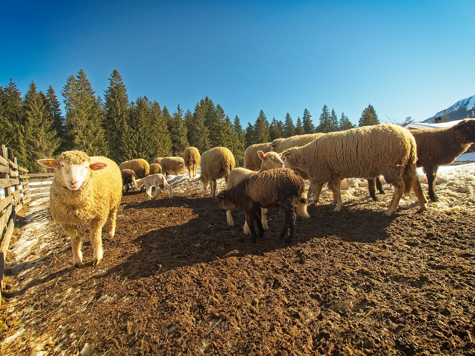 Bild ohne Beschreibung Bild ohne Beschreibung