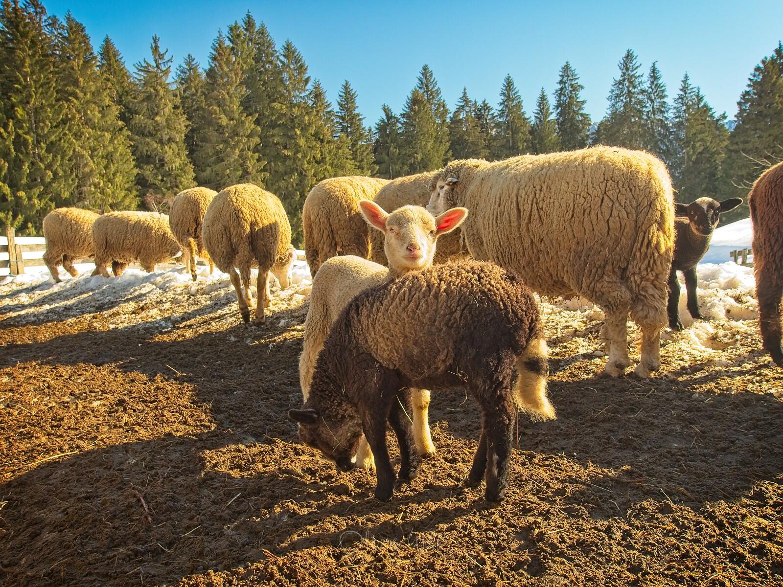 Bild ohne Beschreibung Bild ohne Beschreibung