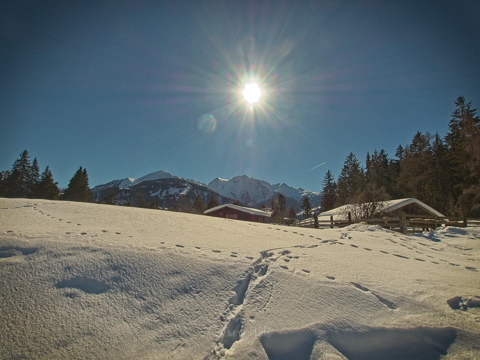 Bild ohne Beschreibung Bild ohne Beschreibung
