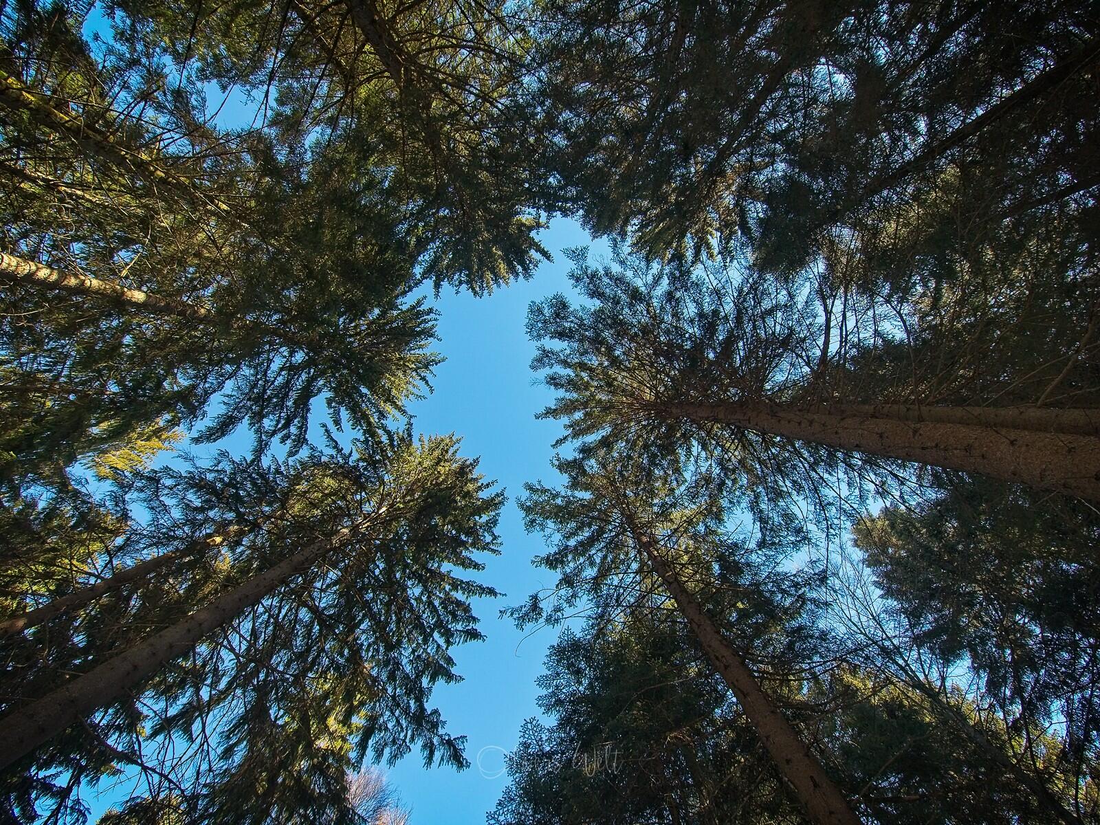 Bild ohne Beschreibung Bild ohne Beschreibung