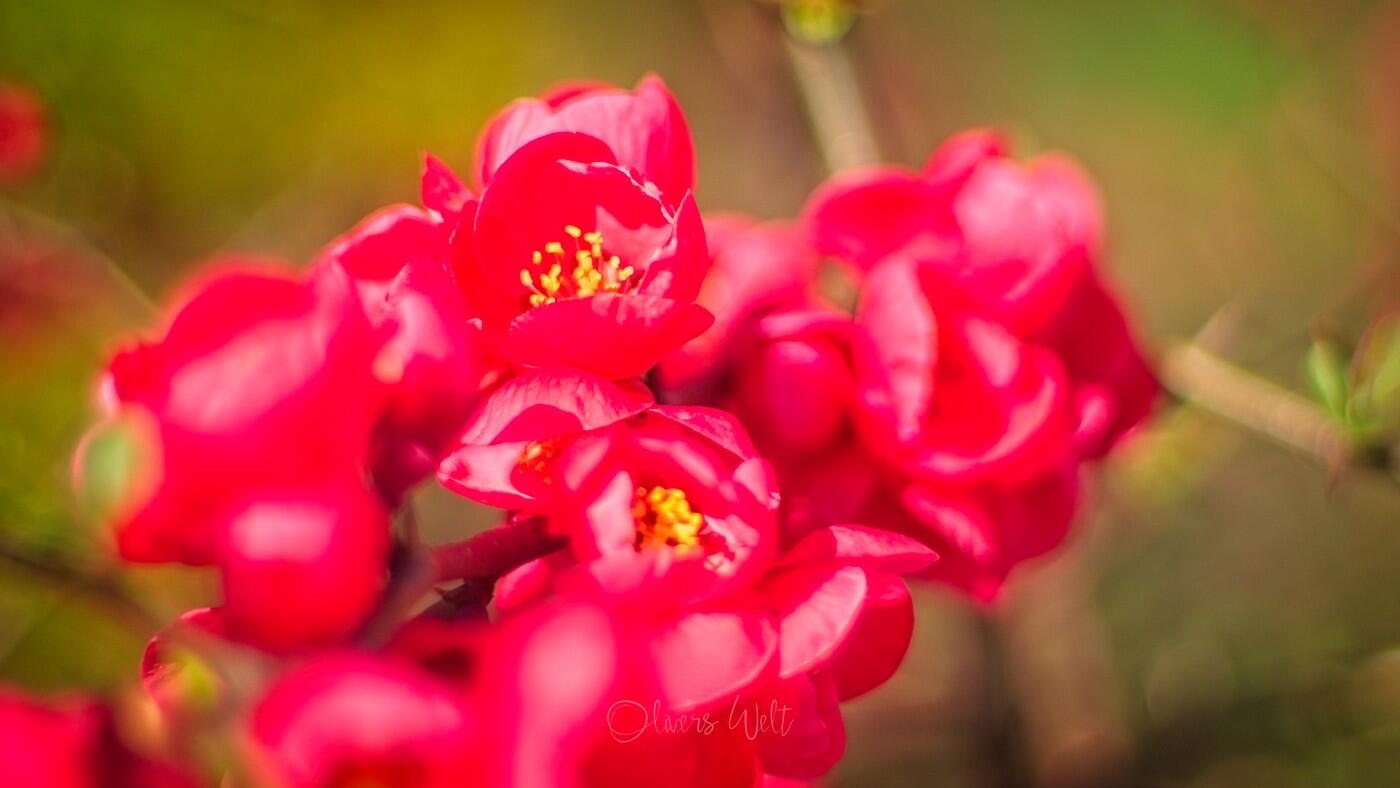 Bild ohne Beschreibung