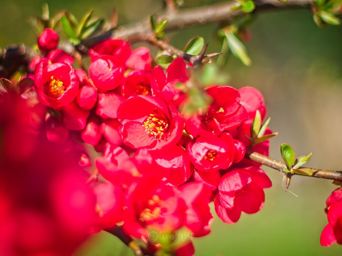 Bild ohne Beschreibung